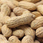 سيبال/فول سوداني بالقشر 500 غرام