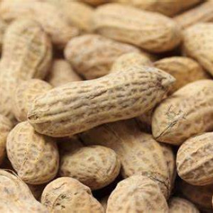 سيبال/فول سوداني بالقشر 500 غرام