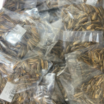 حب شمسي مدخن 40غ 25 حبه